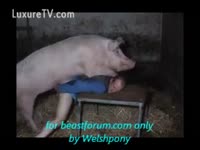 A Pig bonks a Man and grabs the enjoyment of fuck